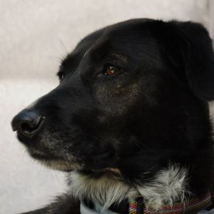 Meet your Posher, Jon